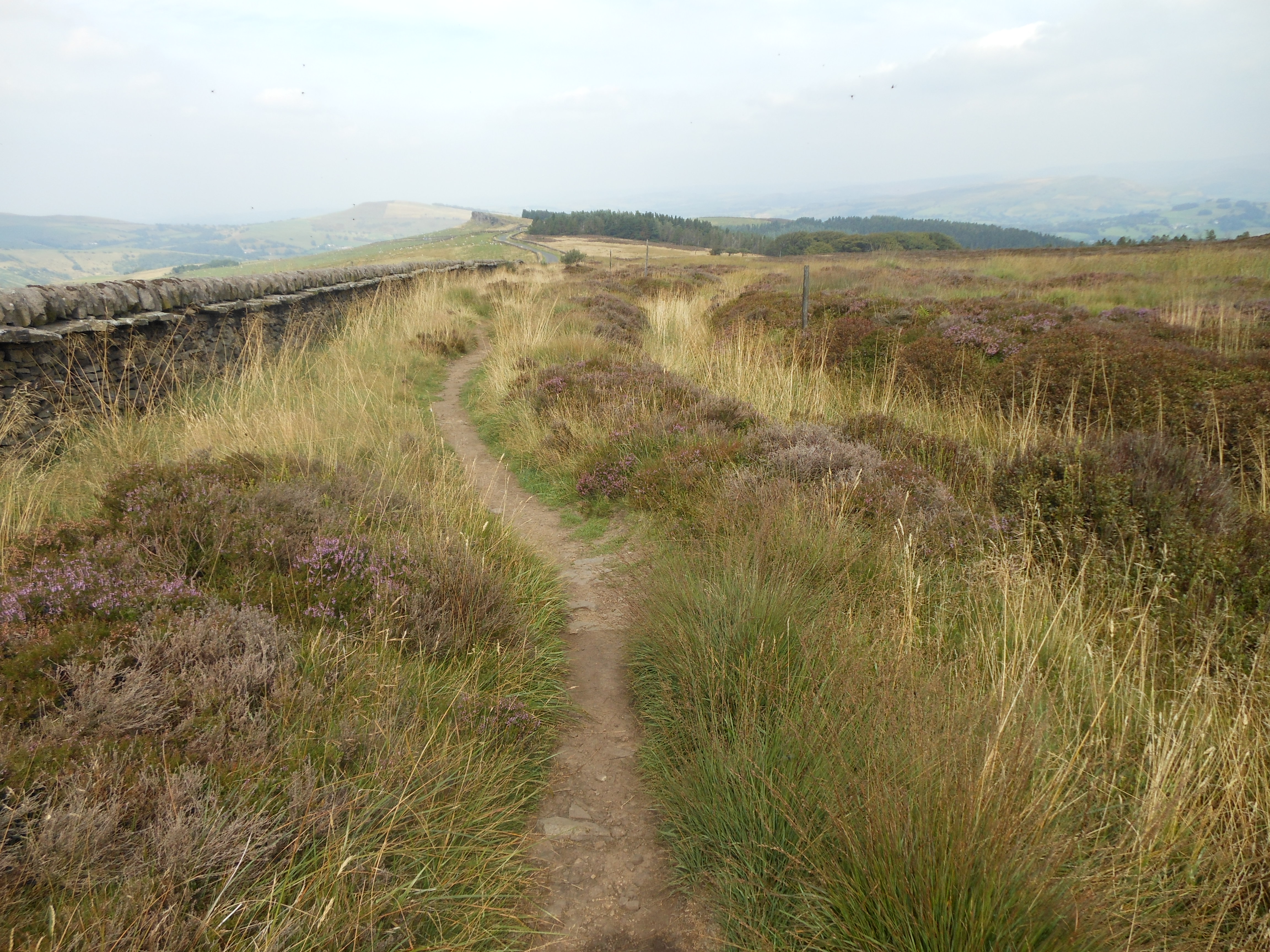 Well Dressings Bakewell